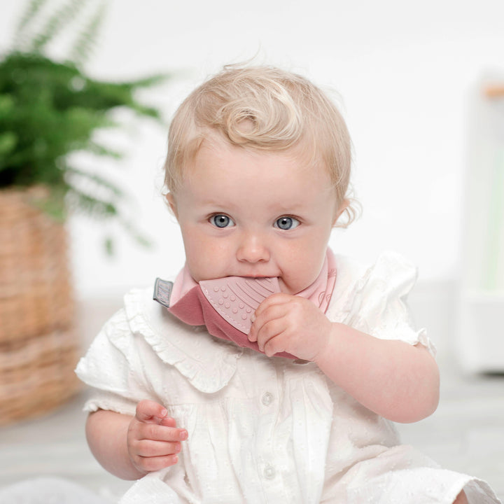 Neckerchew Teething Dribble Bib - Rainbow Rose