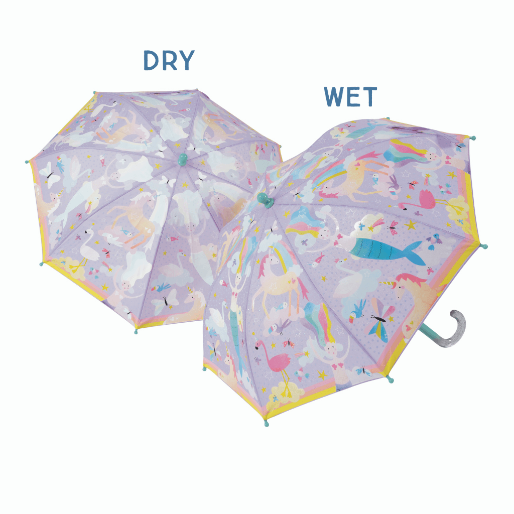 Colour Changing Umbrella Fantasy