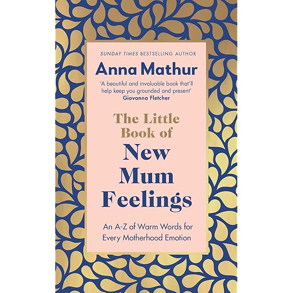 The Little Book Of New Mum Feelings Book