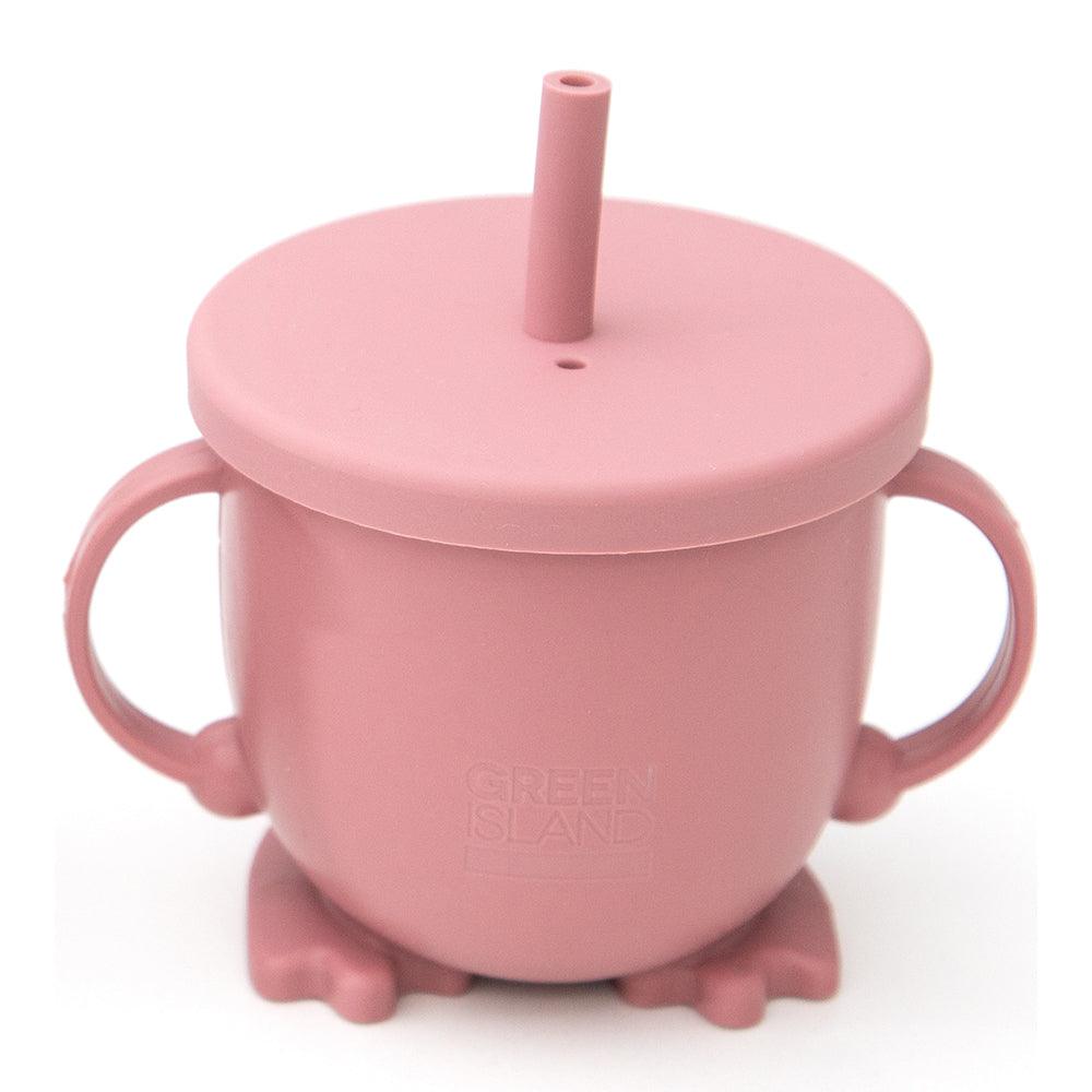 Green Island Pink Sippy Cup