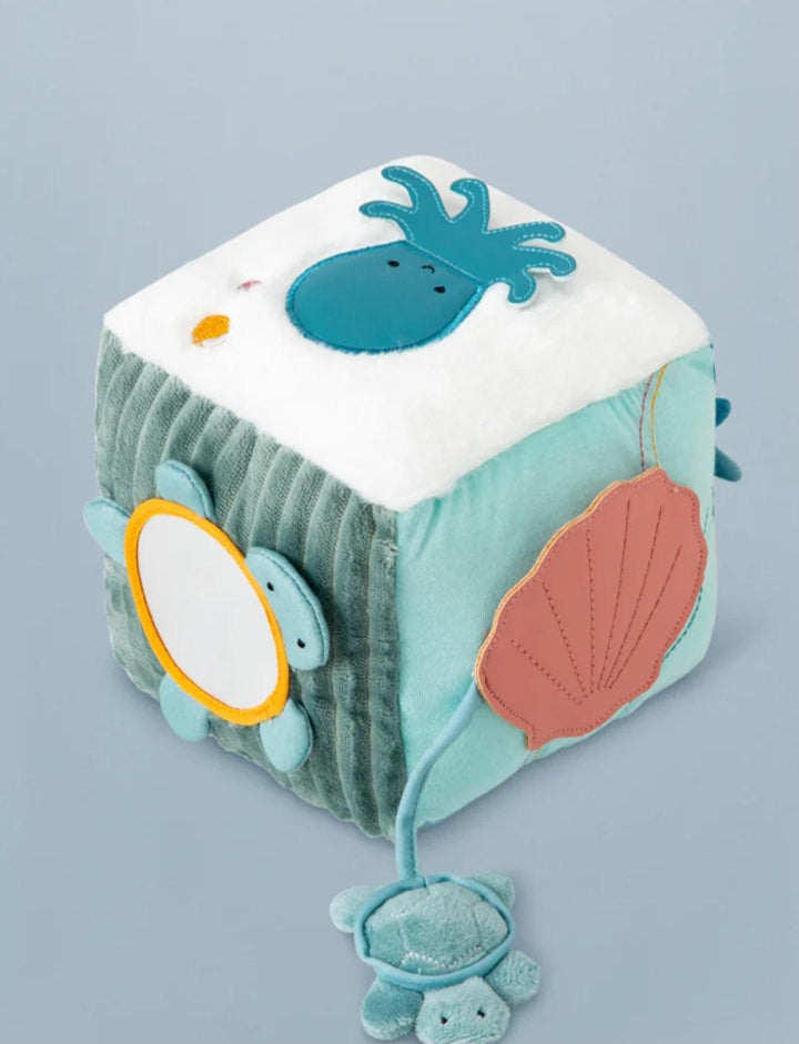 Soft Activity Cube Ocean