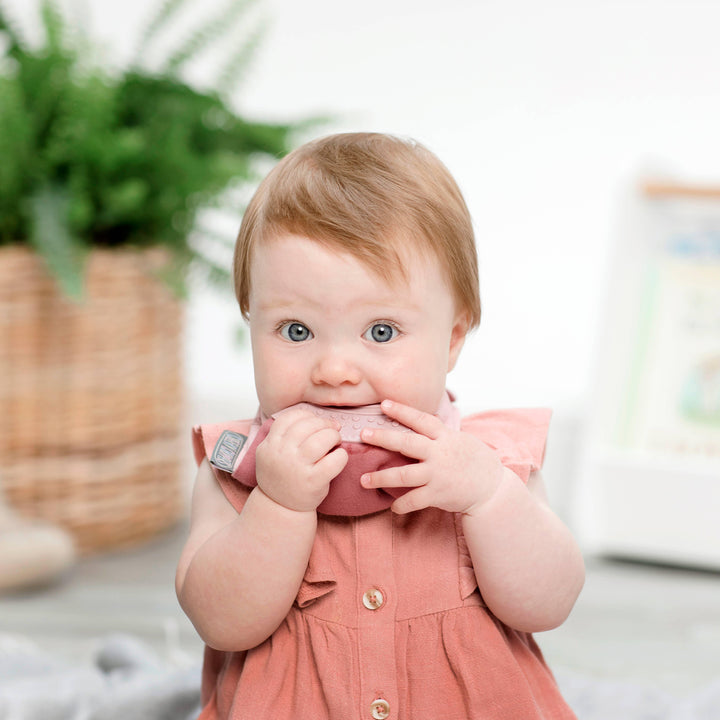 Neckerchew Teething Dribble Bib - Rainbow Rose