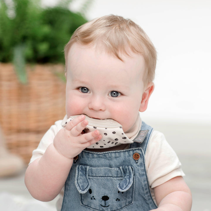 Neckerchew Teething Dribble Bib - Leopard Spot