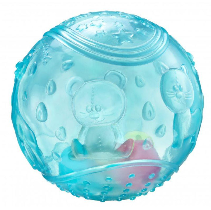 Sensory Clear Ball